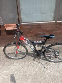 MTB biammortizzata