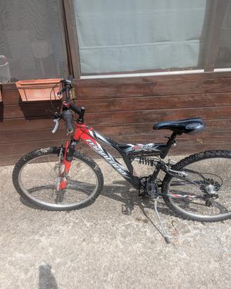 MTB biammortizzata