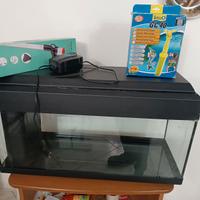 Acquario con accessori
