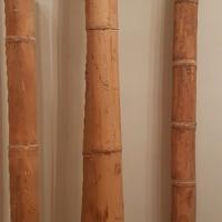 Canne di Bambù per arredamento o allestimento vetr