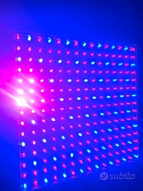 Pannello LED Grow Light 225 LED per indoor