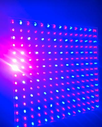 Pannello LED Grow Light 225 LED per indoor