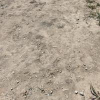 TERRA DA RIEMPIMENTO 