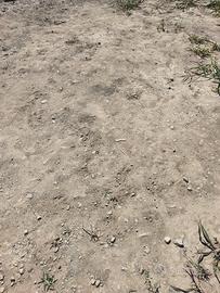 TERRA DA RIEMPIMENTO 