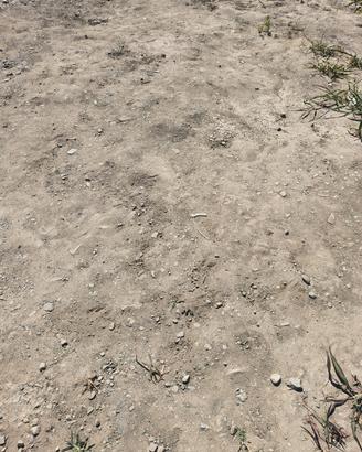 TERRA DA RIEMPIMENTO 