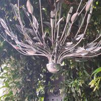 lampadario 
