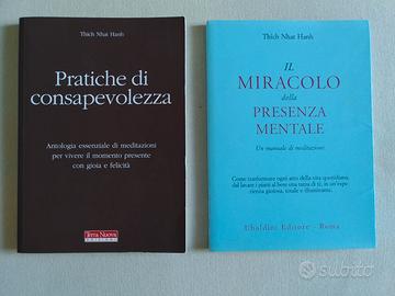 Due libri Meditazione Thich Nhat Hanh