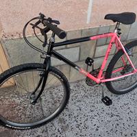 mtb 26 cambio shimano 18 velocità gomme schwalbe 