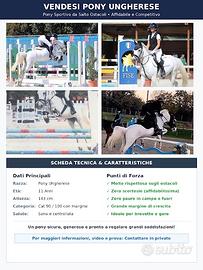 Pony 2015