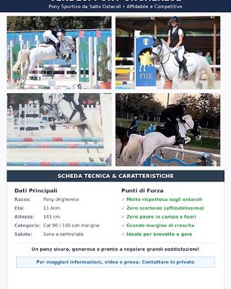 Pony 2015
