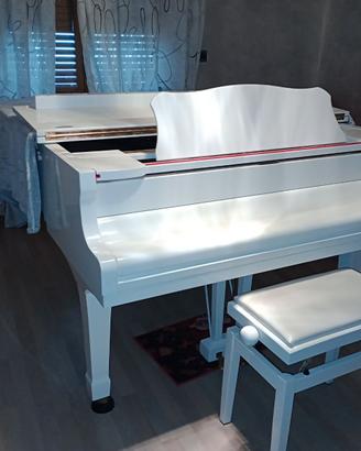 strumenti musicale