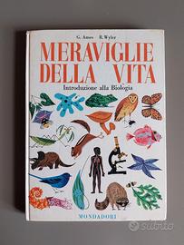 Meraviglie della vita