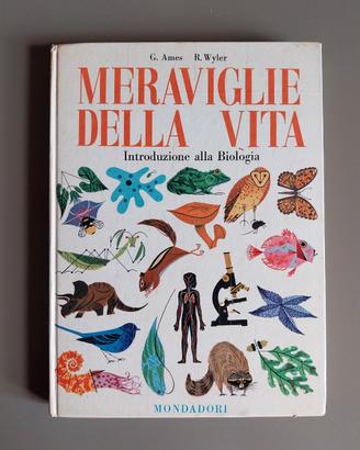 Meraviglie della vita