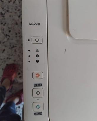 stampante canon MG2550+cavetto USB