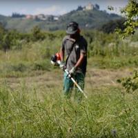taglio erba, rovi, alberi e siepi, curo giardini a