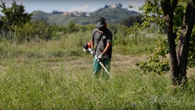 taglio erba, rovi, alberi e siepi, curo giardini a