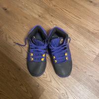Lebron witness 8