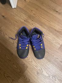 Lebron witness 8