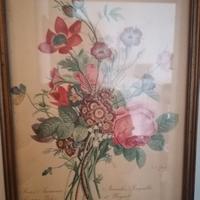 Stampe floreali vintage incorniciate 