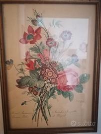 Stampe floreali vintage incorniciate 