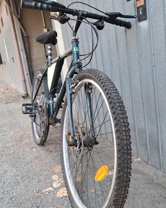 Bicicletta MTB Rollmar 320