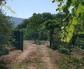 Terreno agricolo attrezzato