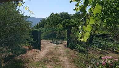 Terreno agricolo attrezzato