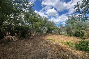 TER. RESIDENZIALE A CAPRIGLIA IRPINA