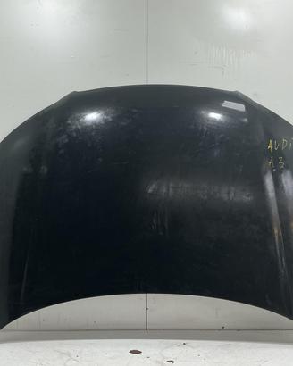 COFANO ANTERIORE AUDI A3 Serie (8P1) 8P0823029E (0