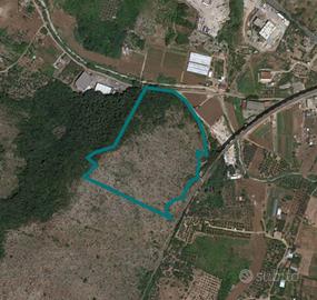 Terreni agricoli a Gaeta (LT) - LOTTO 8