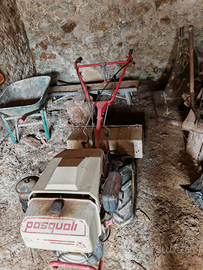 Motocoltivatore Pasquali 478/ 14 CV