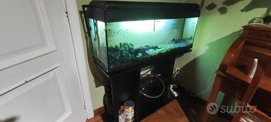 Acquario completo  120lt