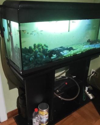 Acquario completo  120lt