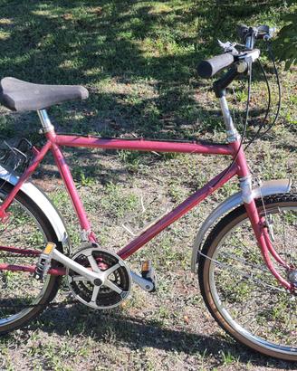 Bicicletta