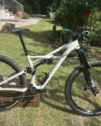 Mountain bike Specialized elite carbon Enduro 29'
