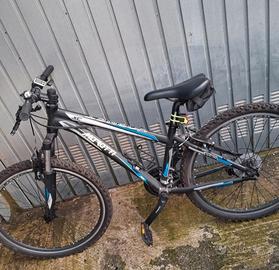 bicicletta ragazzo