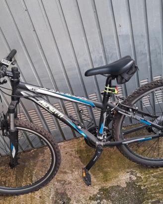 bicicletta ragazzo