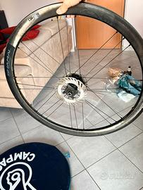 Ruote Campagnolo Shamal disk