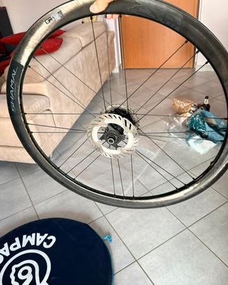 Ruote Campagnolo Shamal disk