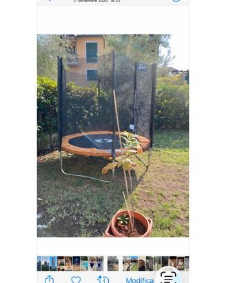 Sport elastici per salti