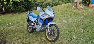 HONDA TRANSALP 50° ANNIVERSARIO