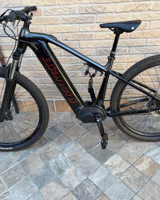 Mountain Bike Ebike