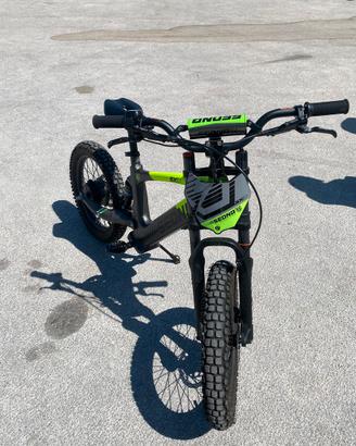 Bici elettrica sx 18