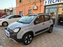 fiat-panda-1-0-firefly-s-s-hybrid-city-cross