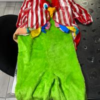 Costume bambino pappagallo