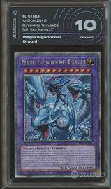 Magia signore dei draghi