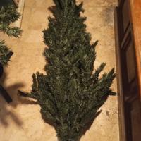 ALBERO DI NATALE 