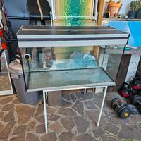 acquario marca aquael