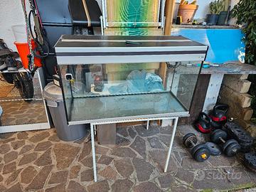 acquario marca aquael