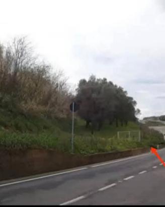 6050 mq di terreno agricolo (uliveto), con casetta